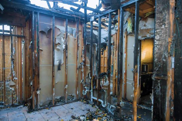 Professional Fire Damage Removal technician working in Gantt, SC
